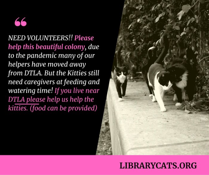 Need Volunteers
